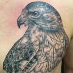hawk tattoo