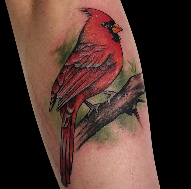 Nonprofit teaches you how to save endangered species then gives you a  tattoo of one  Grist