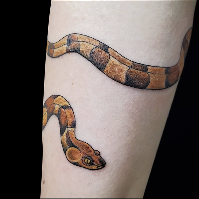 Snake Tattoos  Snake tattoo designs  YouTube